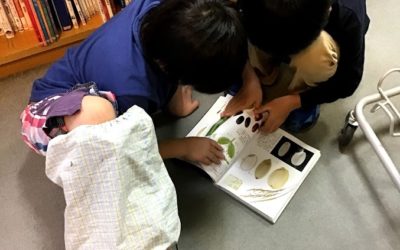 １０月２４日の活動