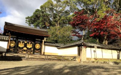 11月20日の活動