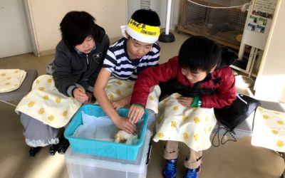 １２月２７日の活動