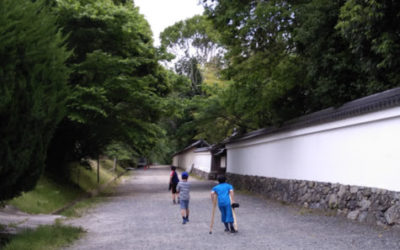 ５月２５日の活動