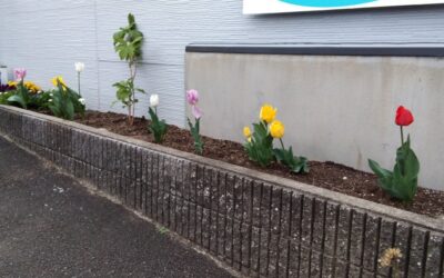 ４月５日の活動