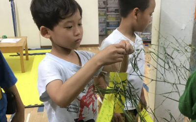 ７月６日の活動