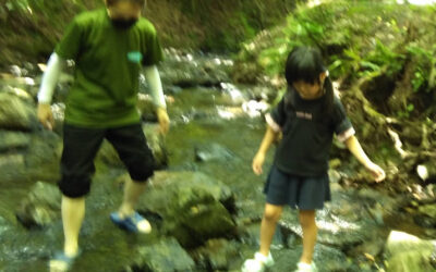 ７月１７日の活動