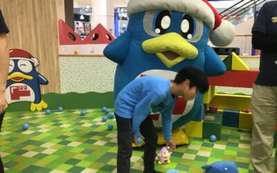 １１月２３日の活動