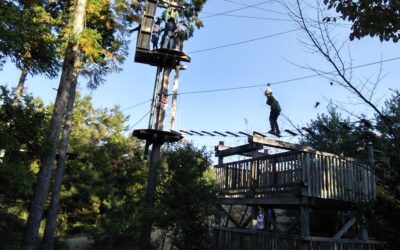 １１月３日の活動