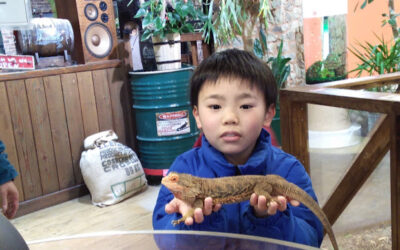 1月１３日の活動