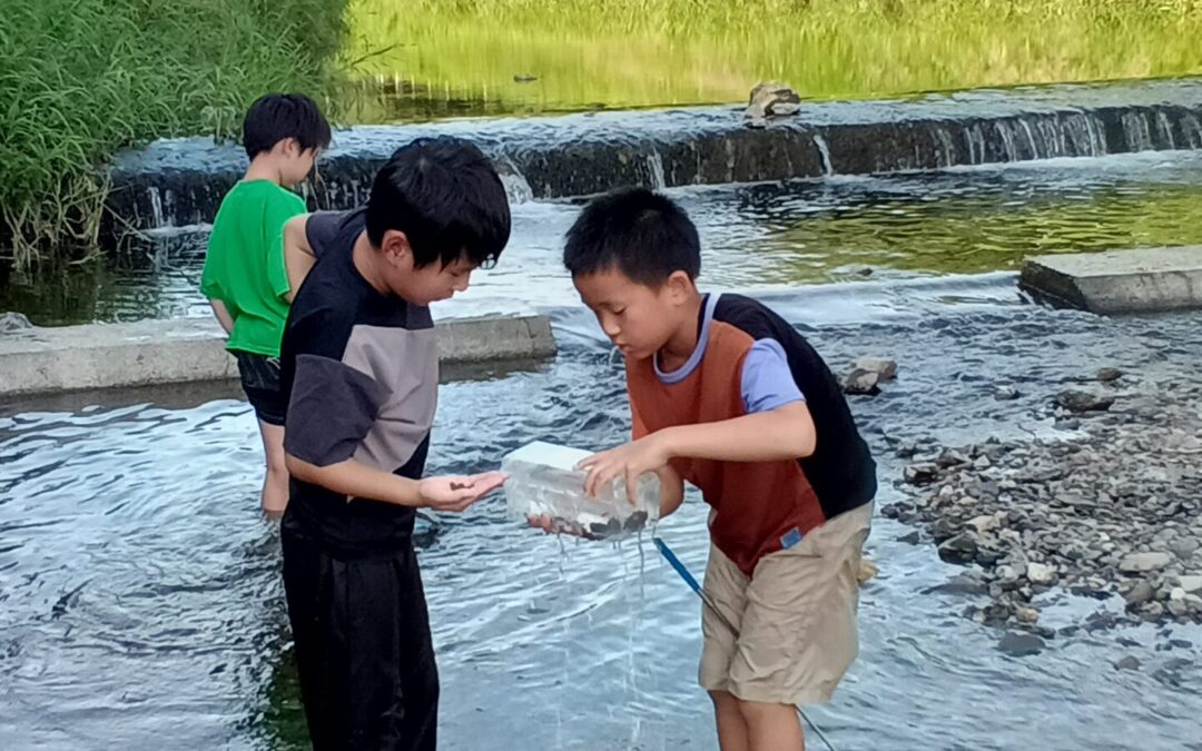 7月28日の活動