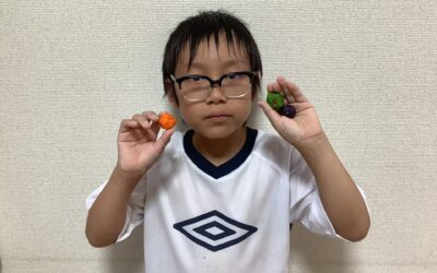 8月28日の活動