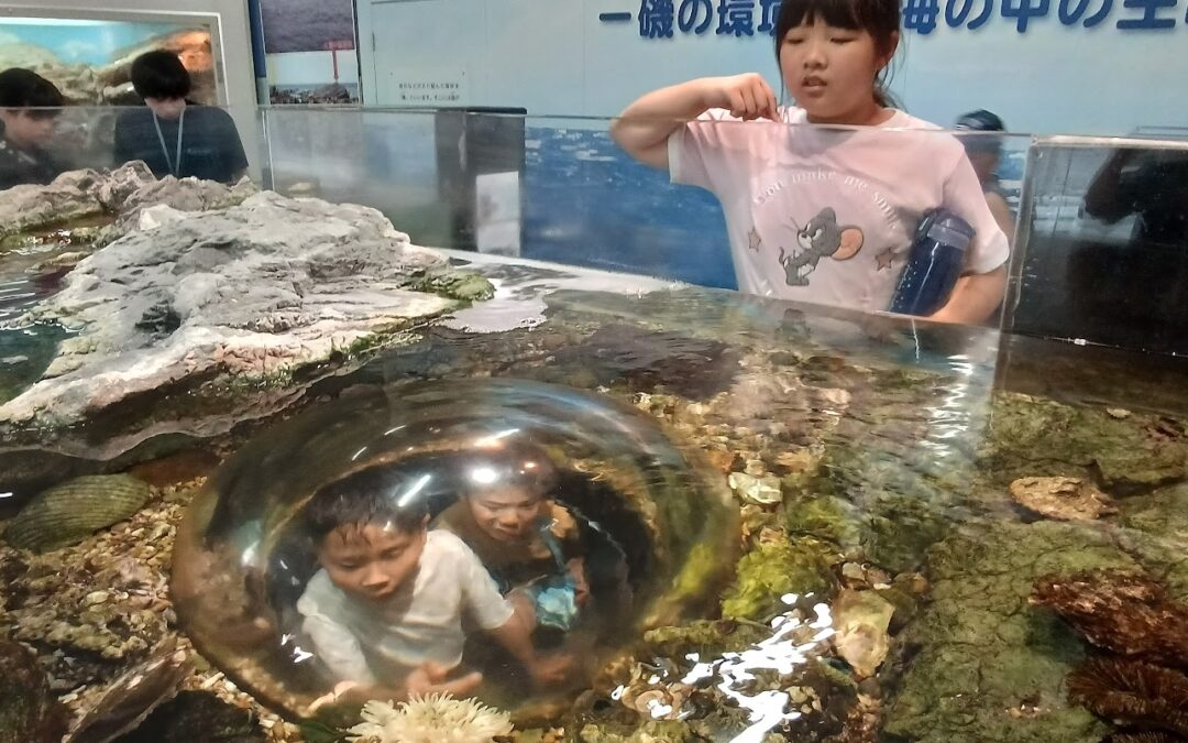 8月14日の活動