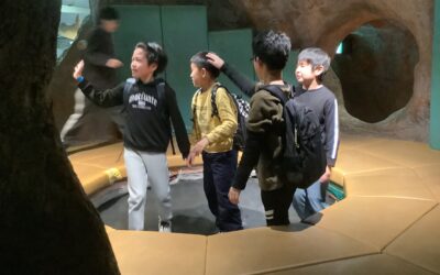 ２月１１日の活動