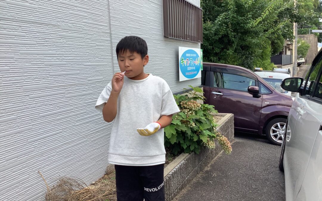7月9日の活動