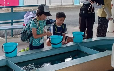 7月11日の活動