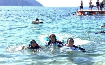 8月20日の活動